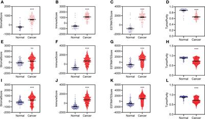 Establishing a prognostic model of ferroptosis- and immune-related signatures in kidney cancer: A study based on TCGA and ICGC databases